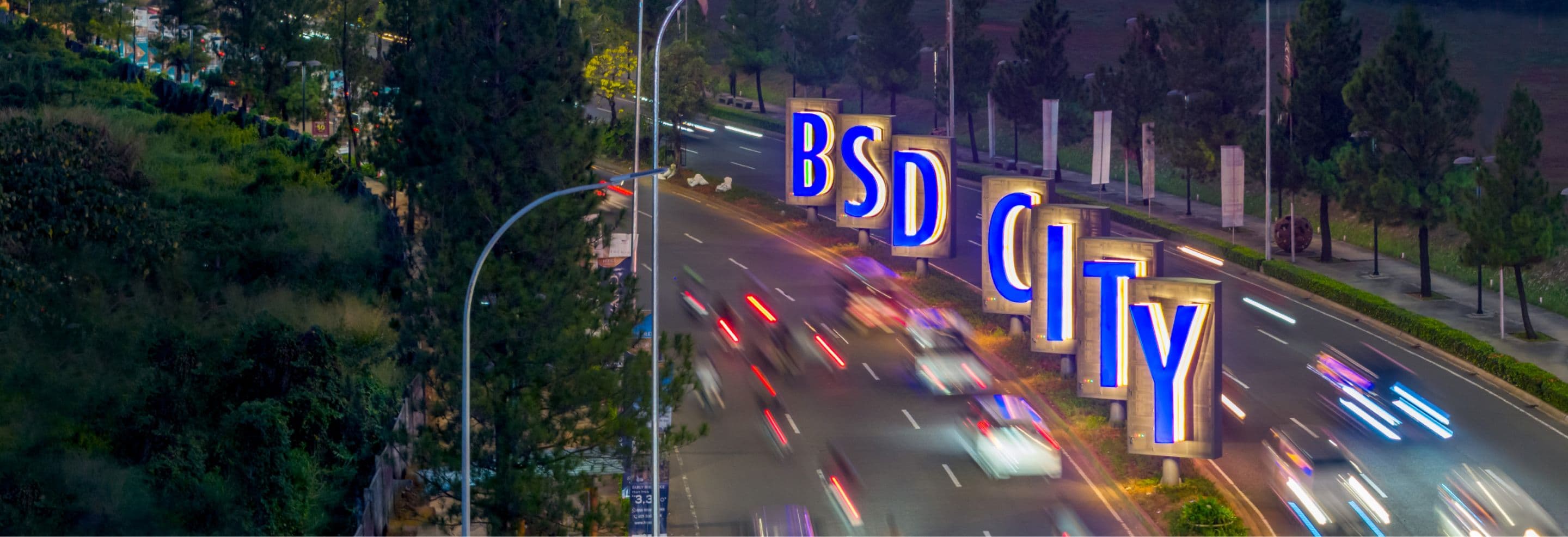 wbsd